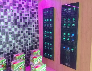 Control and management of the family residence and surrounding buildings - Poznań, Poland