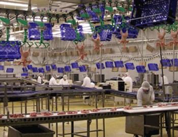 Control system of PROMT chicken meat processing plant, Brno